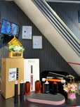 Dyson styler long HS-05