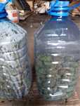 Продам свежие сосновые шишки