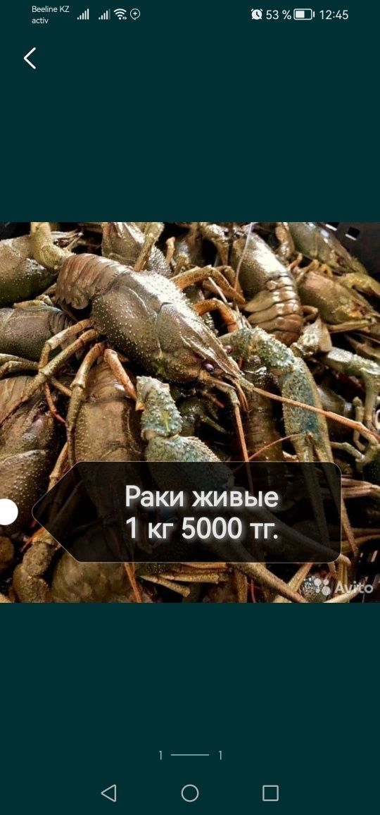Раки живые и варёные на любой вкус