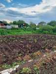 Продам участок (дача), сортировка «Ромашка»