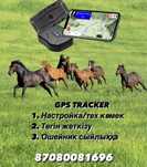 GPS трекер для лошадей. ЖПС малға, техникаға.