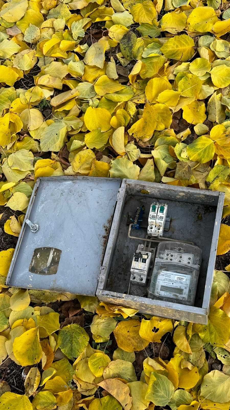 Коробка для электронного счётчика вместе со счётчиком