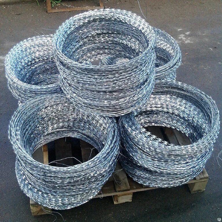 Егоза колючая проволока!
