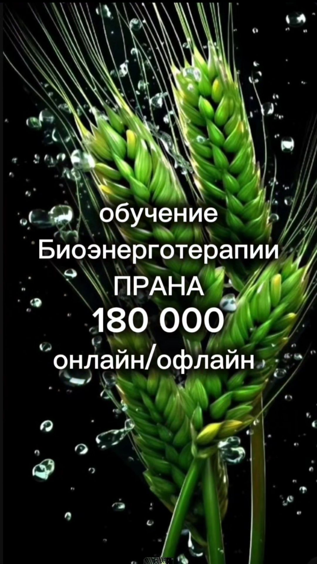 Энерготерапия онлайн/офлайн