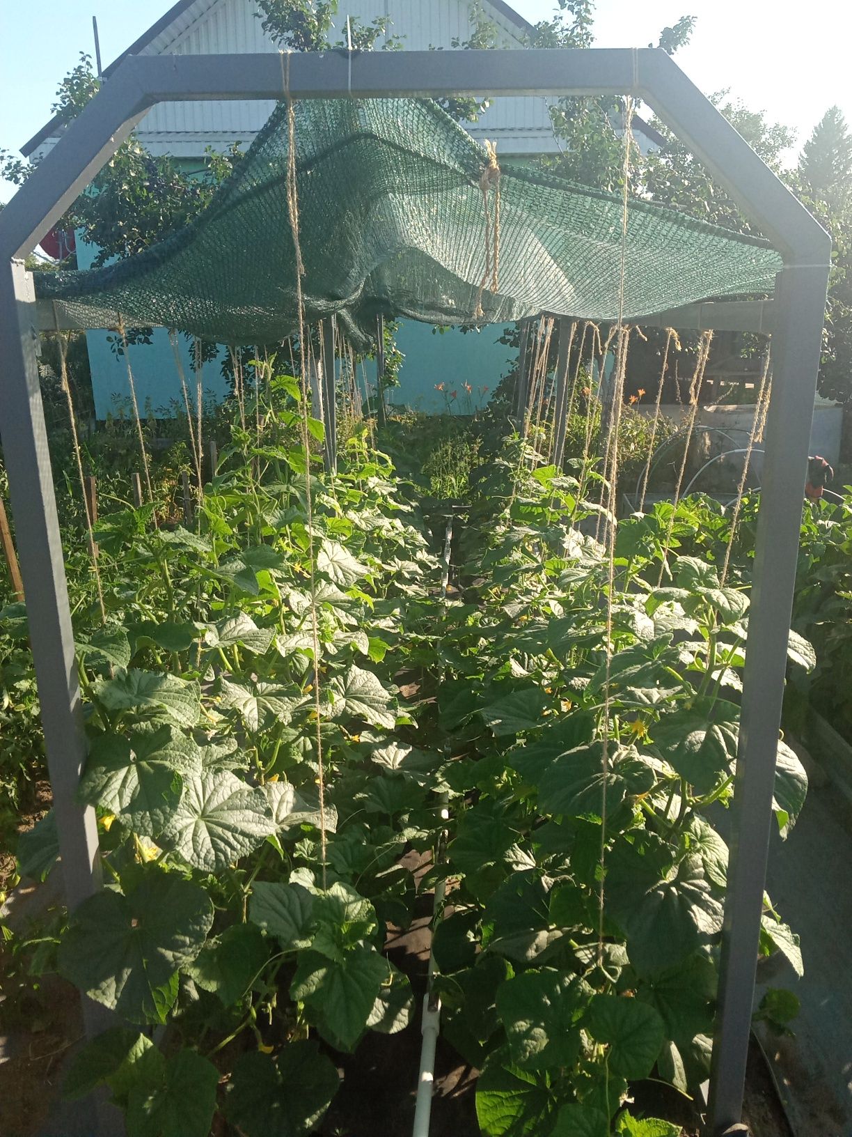 Продам дачу в районе Кривого озера