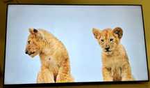 Телевизор Samsung Smart tv