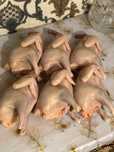 Продаются домашние куры