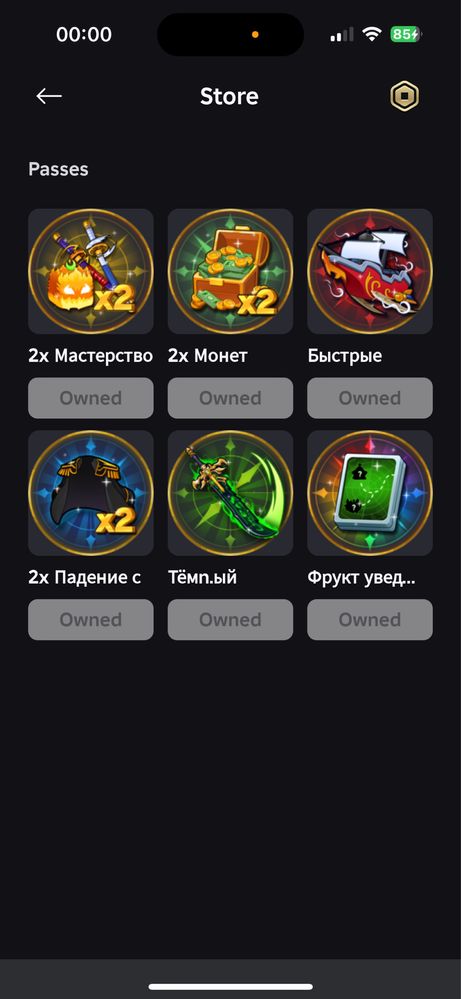 Blox fruit аккаунт