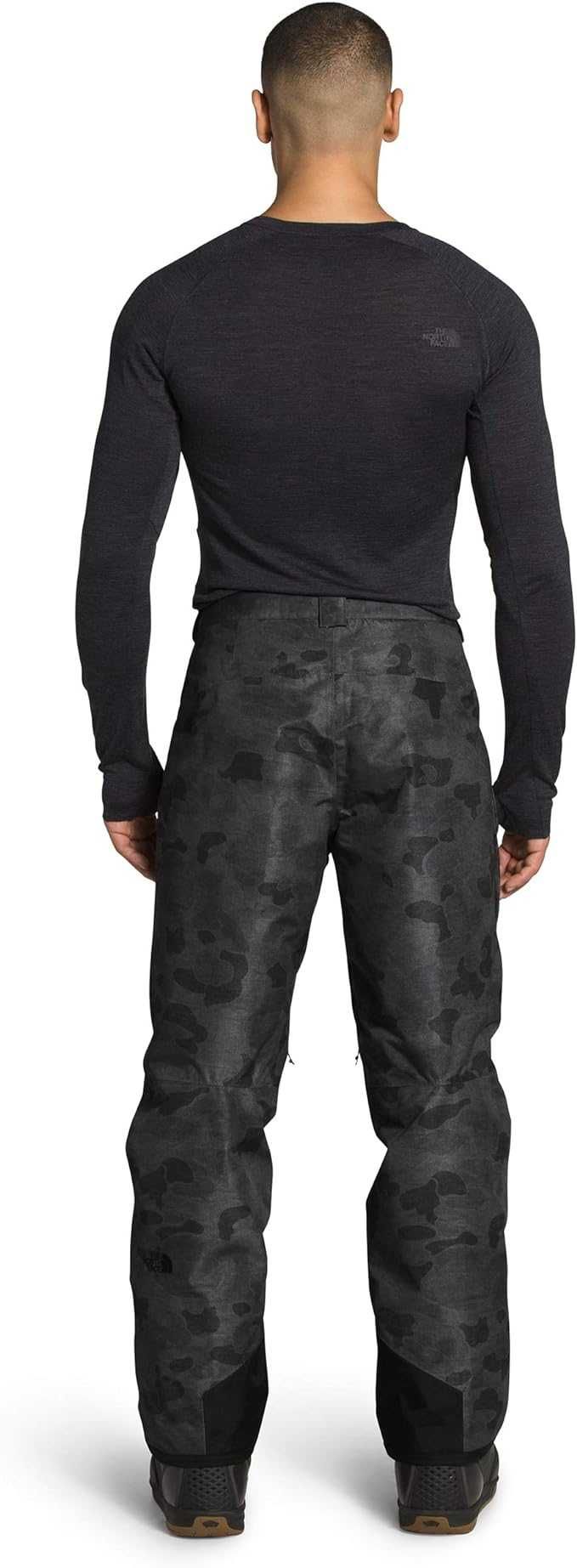 Горнолыжные мембранные мужские Freedom Insulated: The North Face (США)