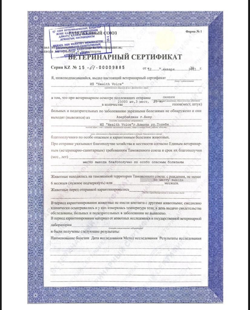 восточные пиявки