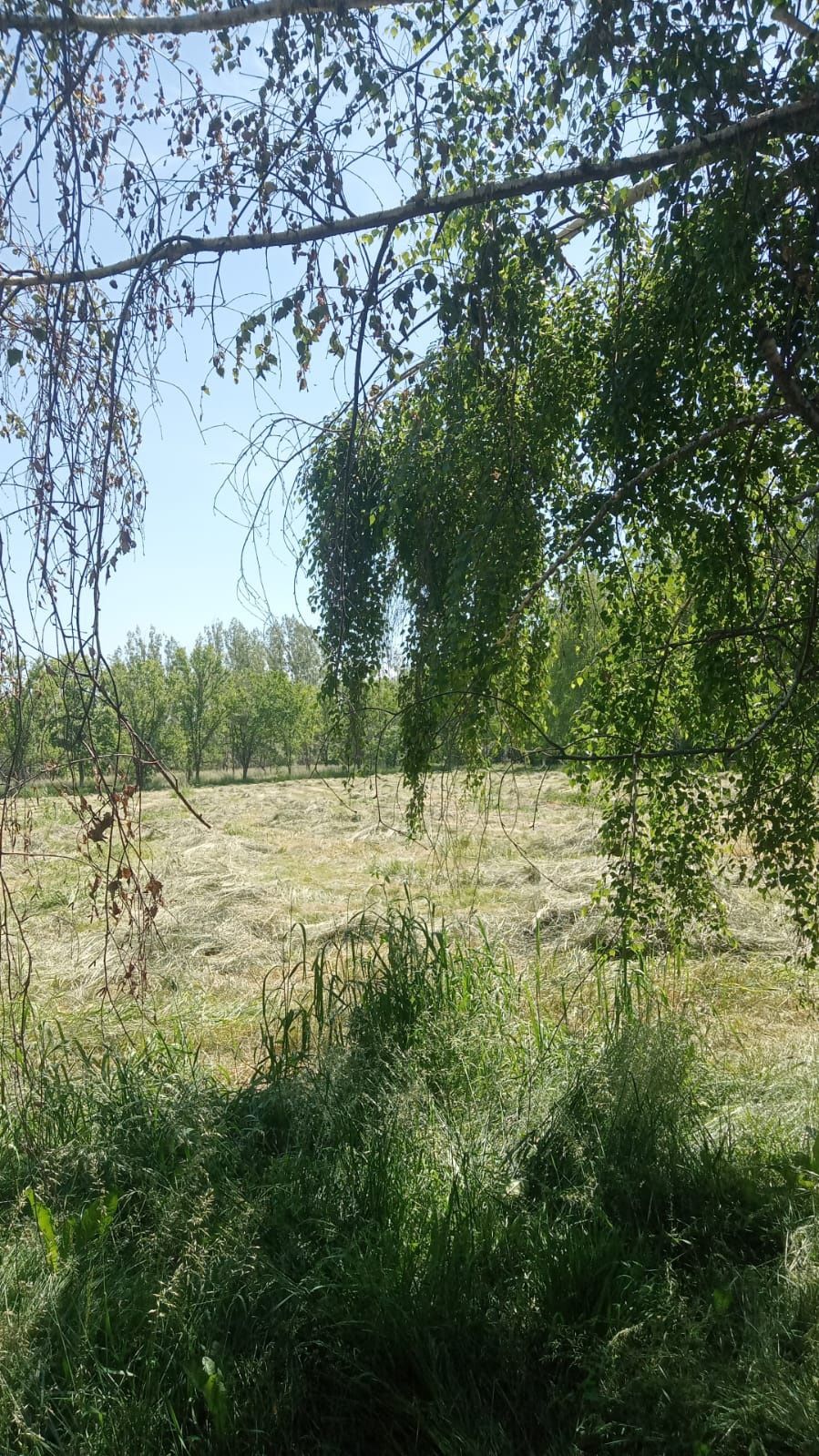 Сатылымда шоп бар