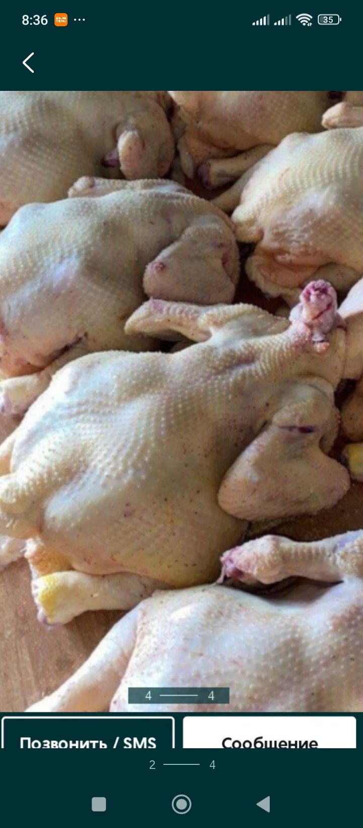 Продам мясо бройлера