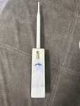 PicoStaishion M2