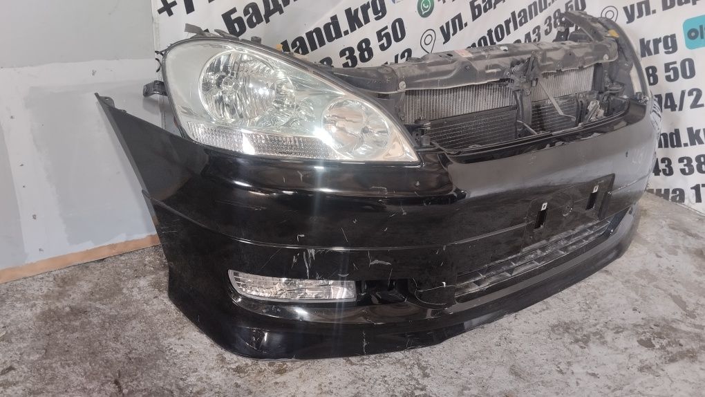 Ноускат Toyota Ipsum, Avensis verso