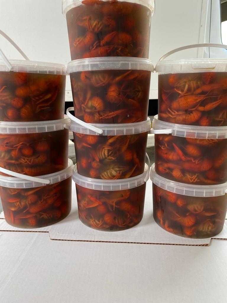 Раки ОПТОМ морские