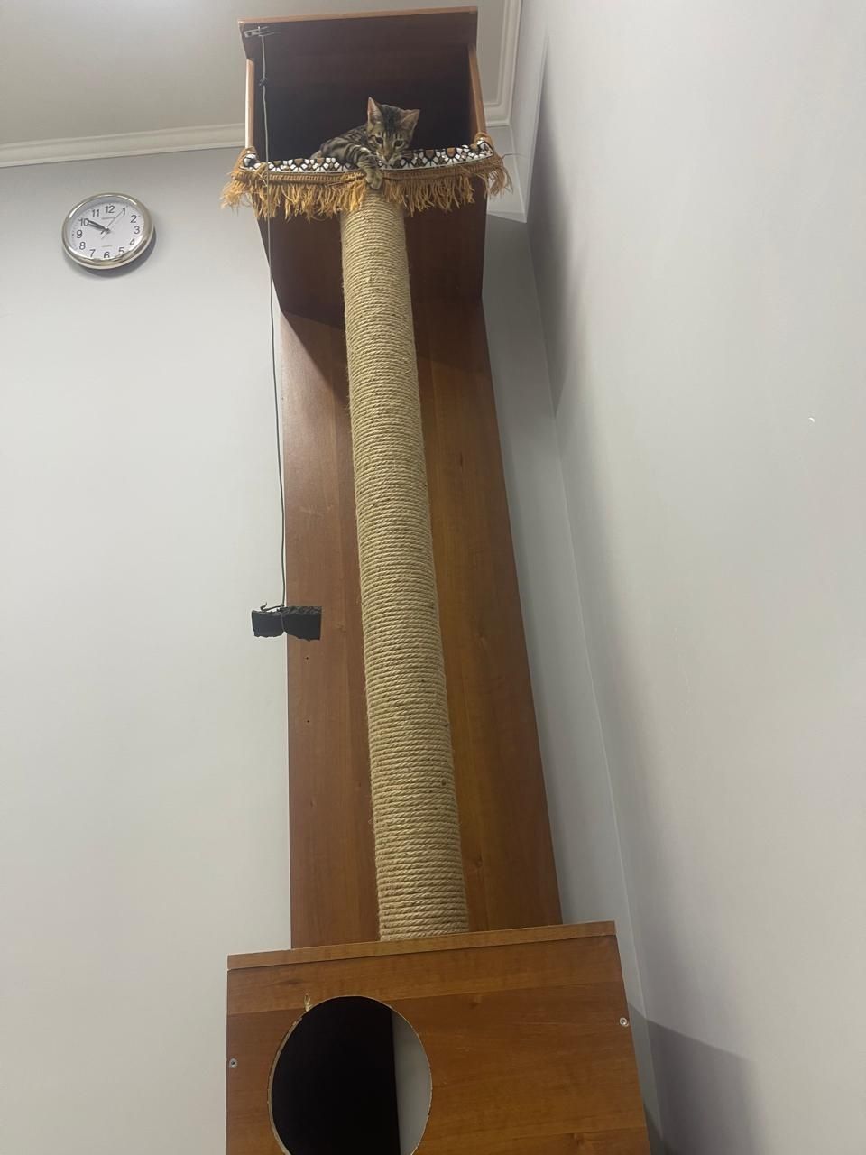 Когтеточка для кота