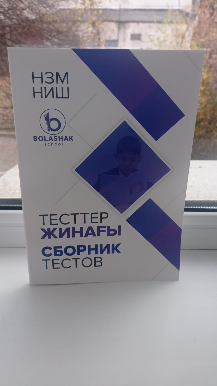 Сборники по подготовке к НИШ