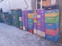 Продам улья,пчёл.Цена договорная.