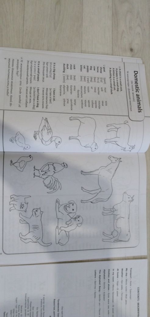 Английский 5+ две части на трёх языках, смотрите фото!!!