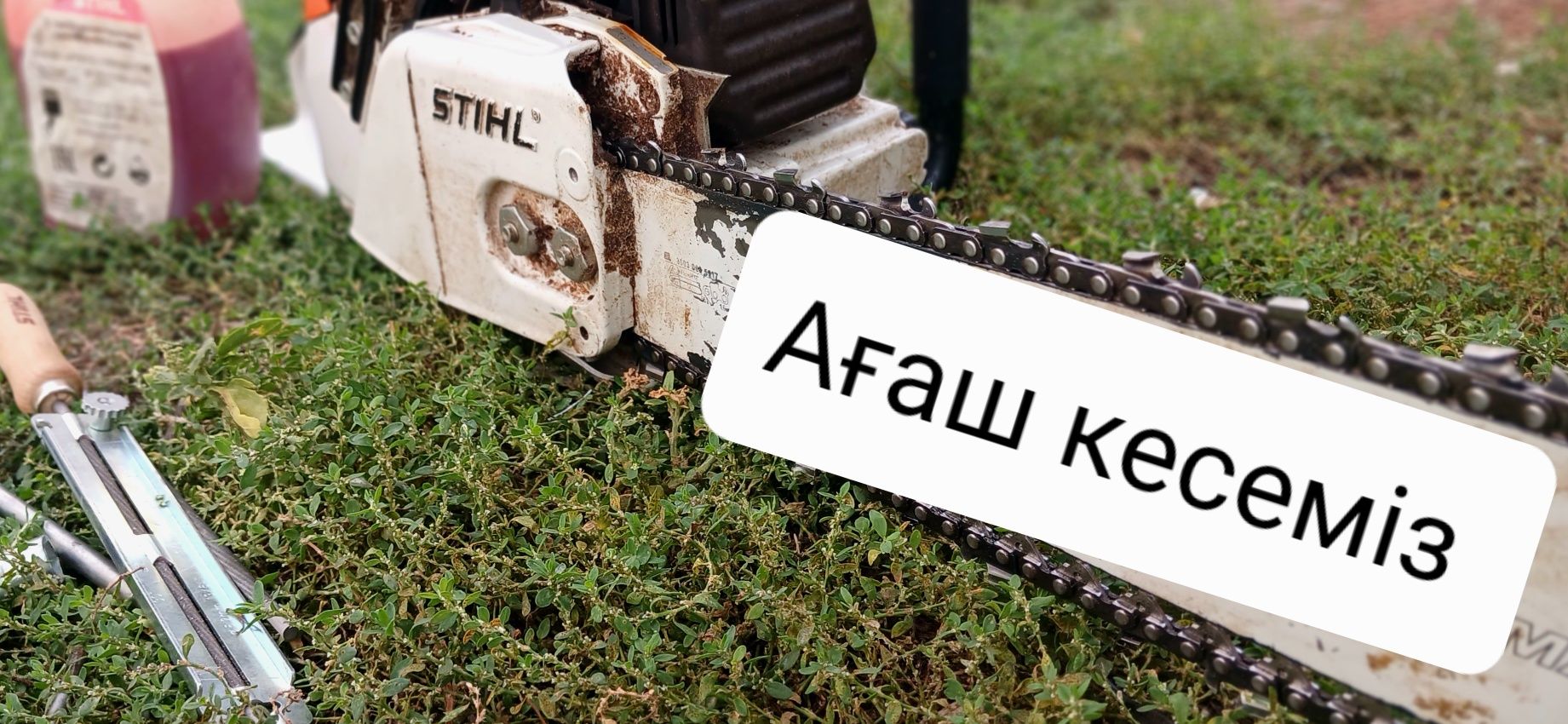 Ағаш,Тал,Отын кесеміз
