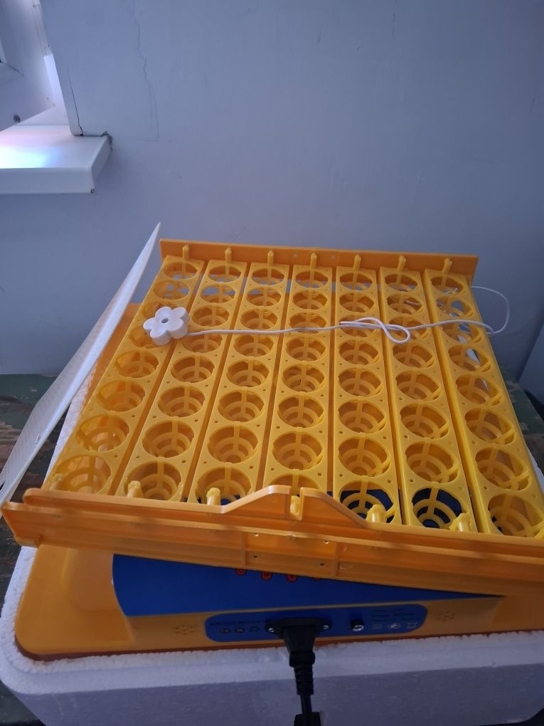 Продам б/у инкубатор, на 56 яйц, состояние отличное.