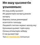 Услуги Ип отчеты ключ