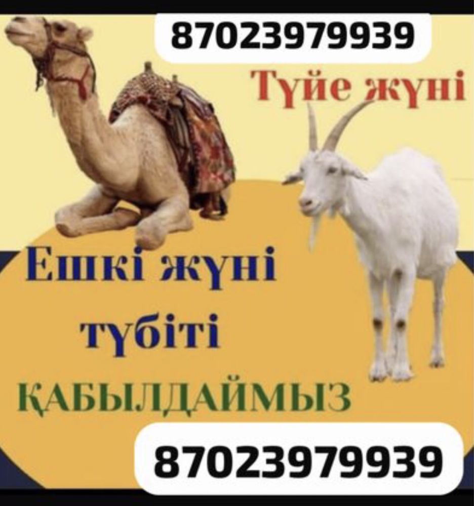 Ешкі жуні Ешкы жуны Туйе жуні жуны