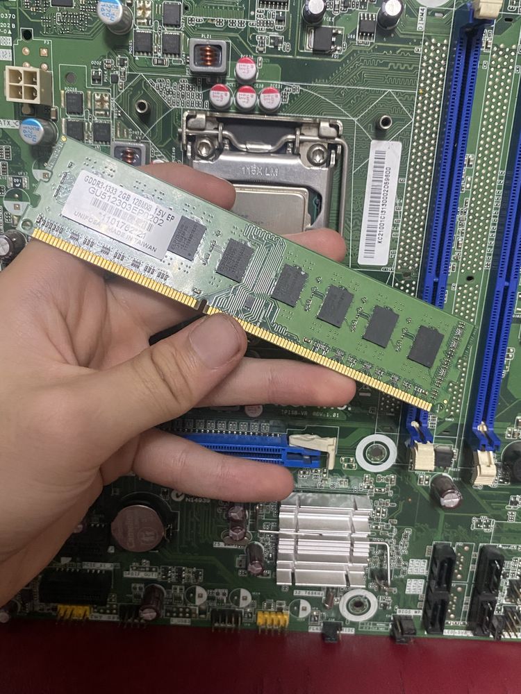 Матирнка Acer lnc