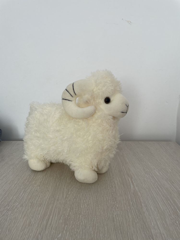 Новая  игрушка