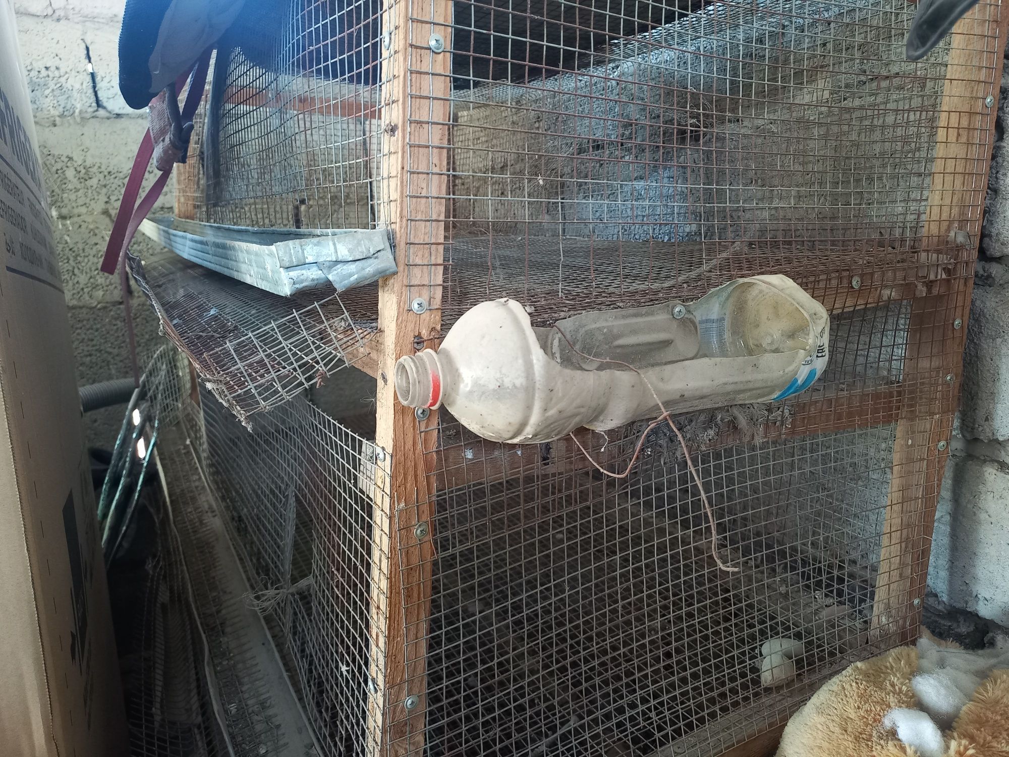 Продам клетка для перепелов