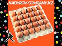 Получите высокопродуктивных кур из яиц Ломан Браун!