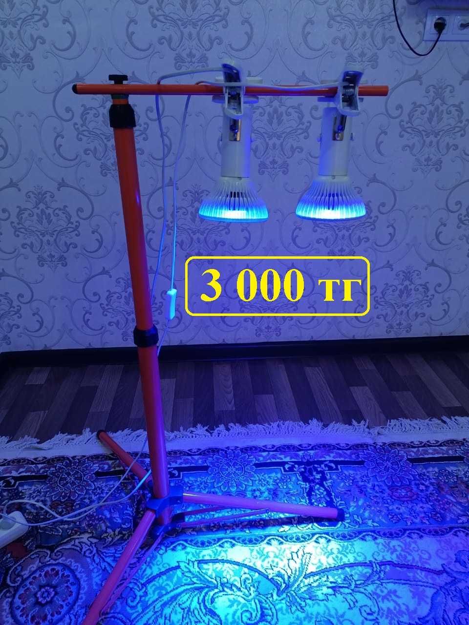 Супер акция! Билитест и фотолампа от желтушки. Сарғыштыққа қарсы лампа