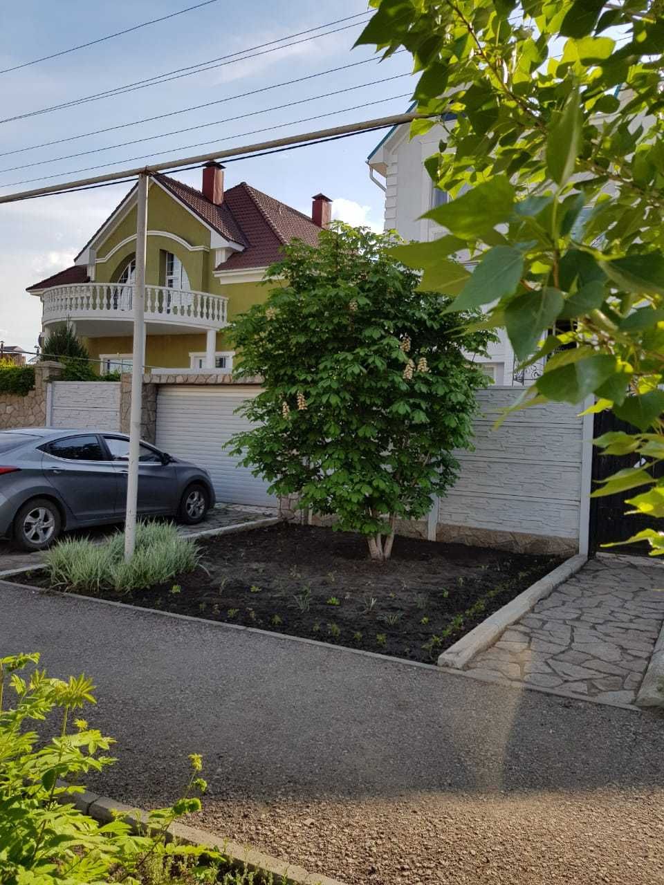 Продаю саженцы конского каштана