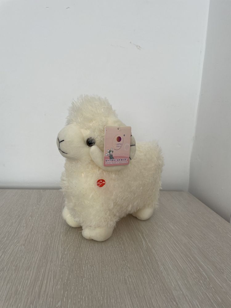 Новая  игрушка