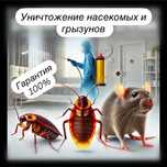 Дезинфекция| уничтожение клопов, тараканов и других насекомых