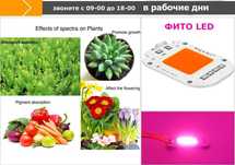 на цветы и для др растений и рассады ФИТО-ЛАМПЫ СВЕТО-ДИОДЫ светильник