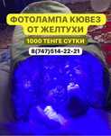 Фотолампа кювез 1000 тенге/сутки + бонусы и подарки!