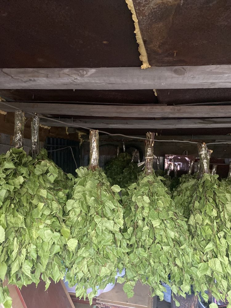 Продам березовые банные веники