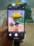 Iphone 13 срочно