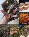 Чистые отборные раки