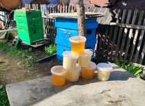 Мёд  домашний разнотравье