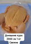 Тушки Курей свежие