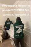 Пианино рояли фортепиано
