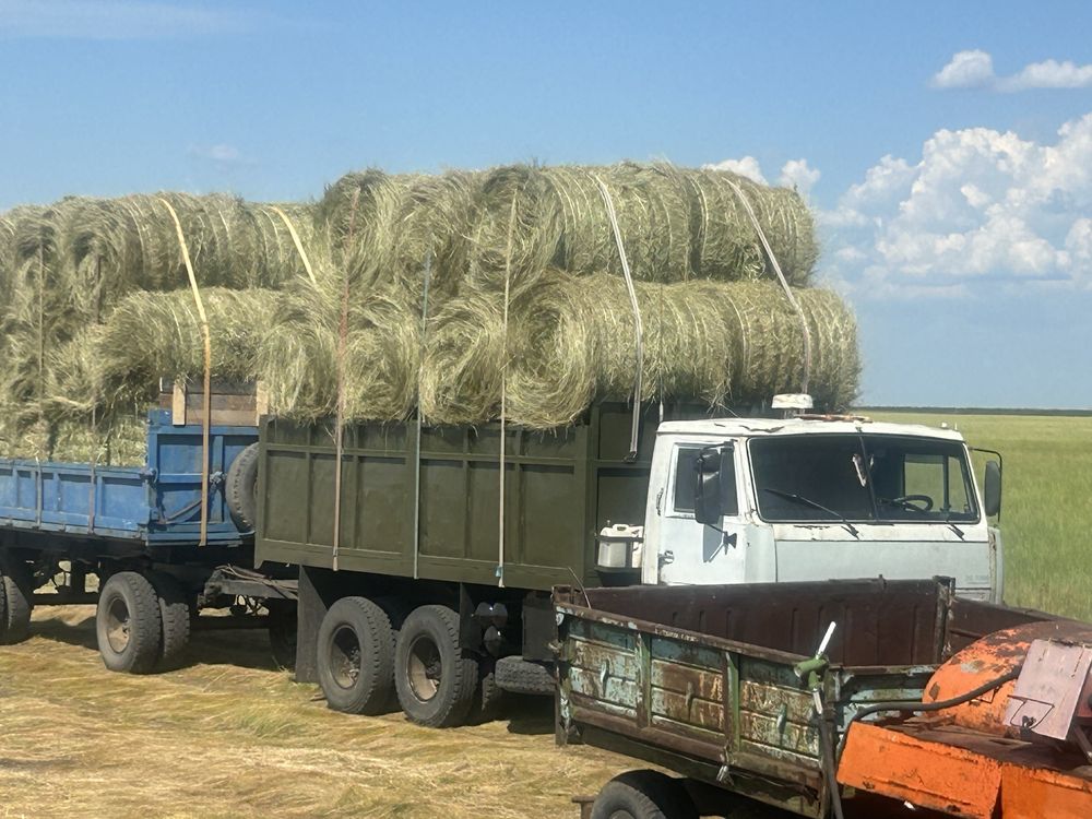 Продам сено. Шөп сатамын.
