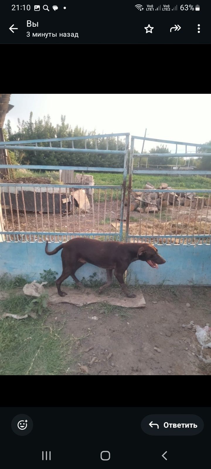 Продам срочно срочно