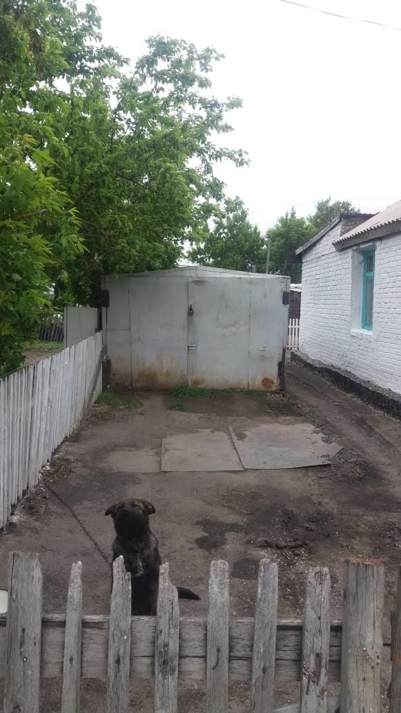 Продам дом. Срочно. Пос. Родина