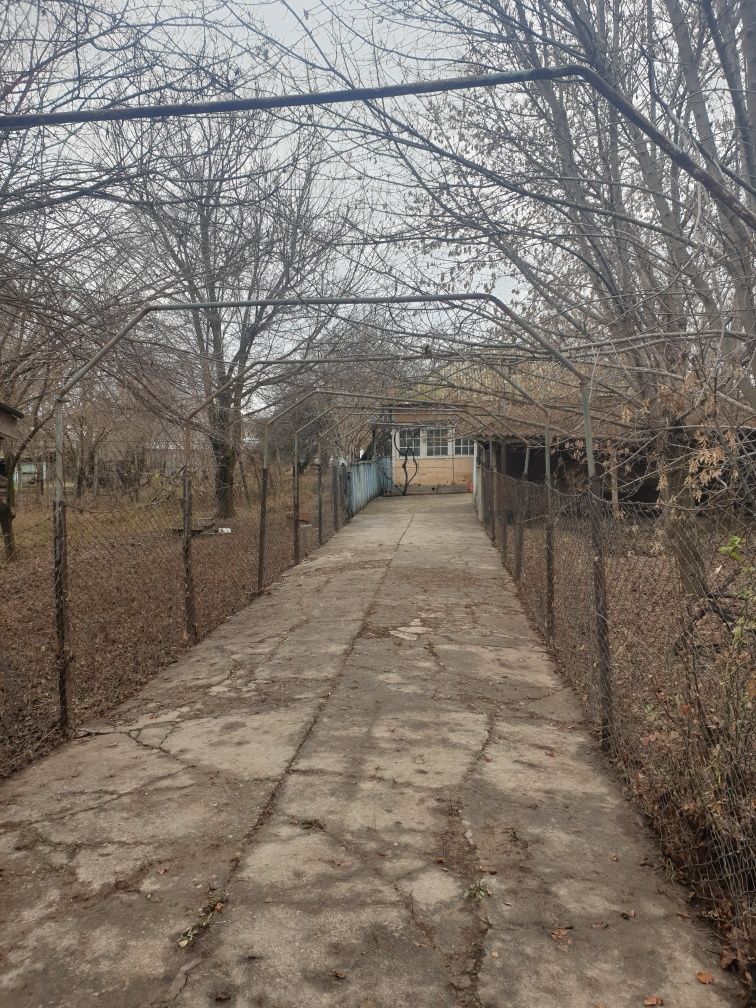 Уй сатылады алгабас ауылында