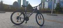 Centurion Backfire M2 (18", 26", 3/7)