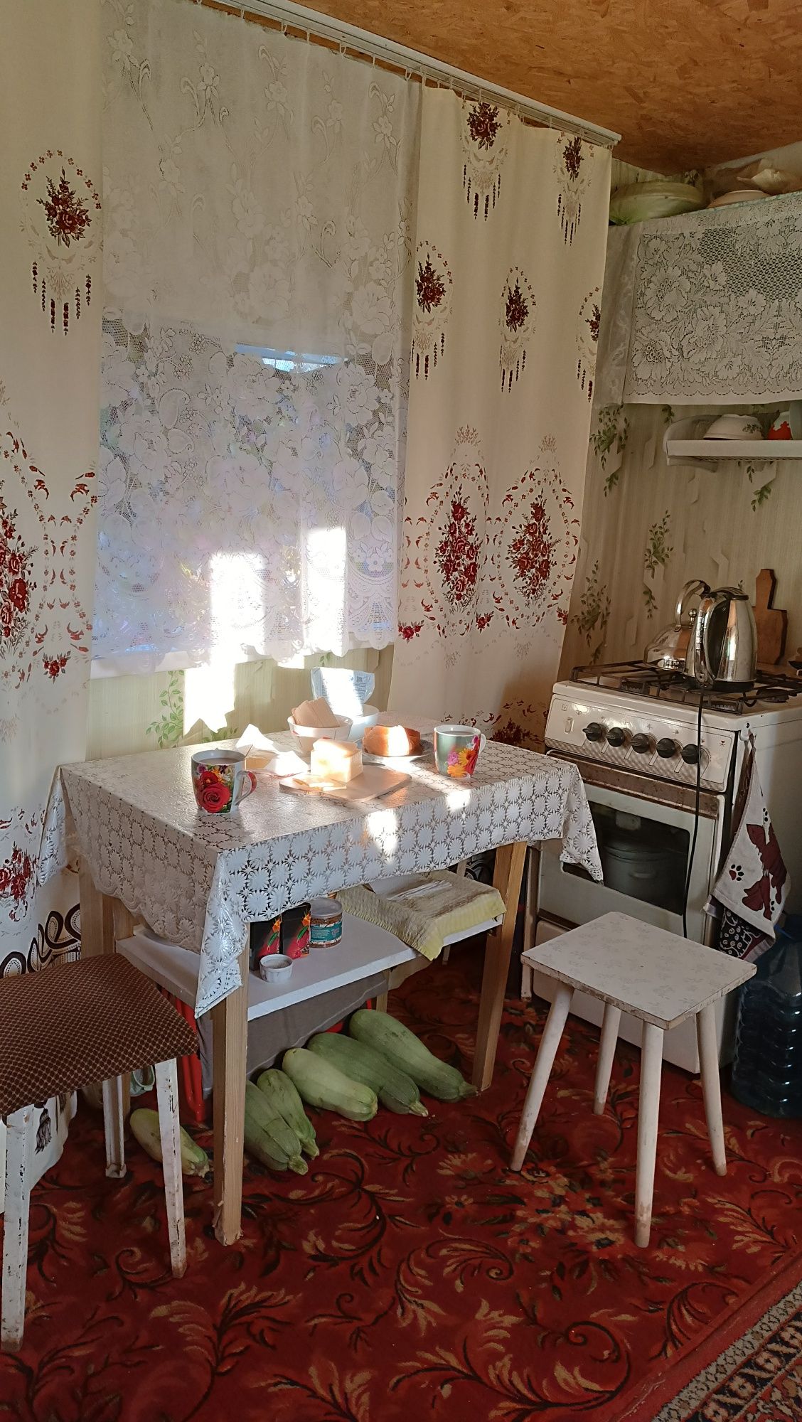 ПРОДАЮ ДАЧУ в обществе СПП