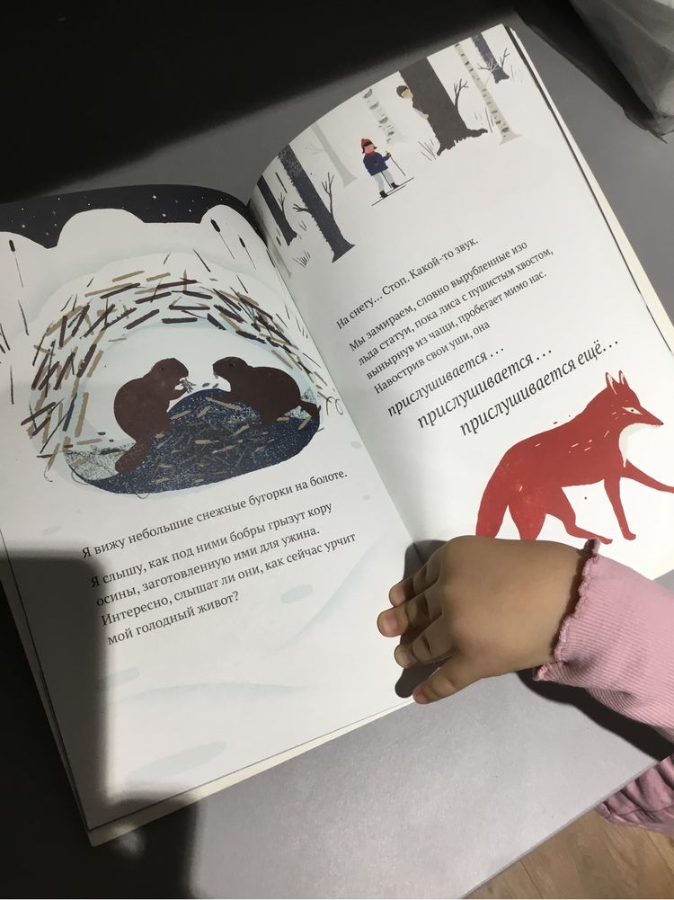 Книга для ребенка 3 4 5 лет на снегу и под снегом кейт Месснер подарок